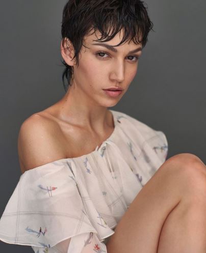 Los mejores Cortes de Pelo estilo Garçon Otoño Invierno